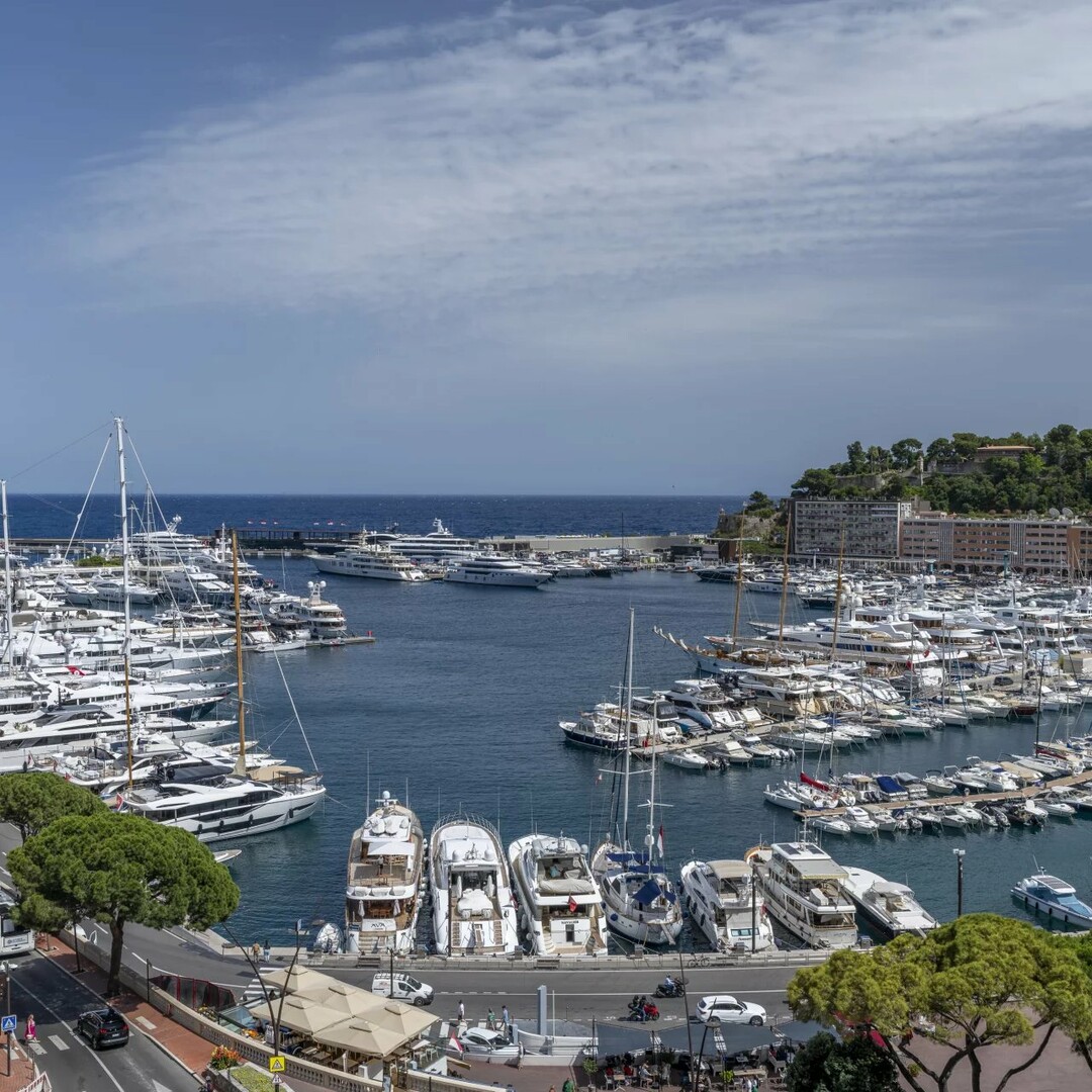 Condamine - Le Panorama - Unique apartment