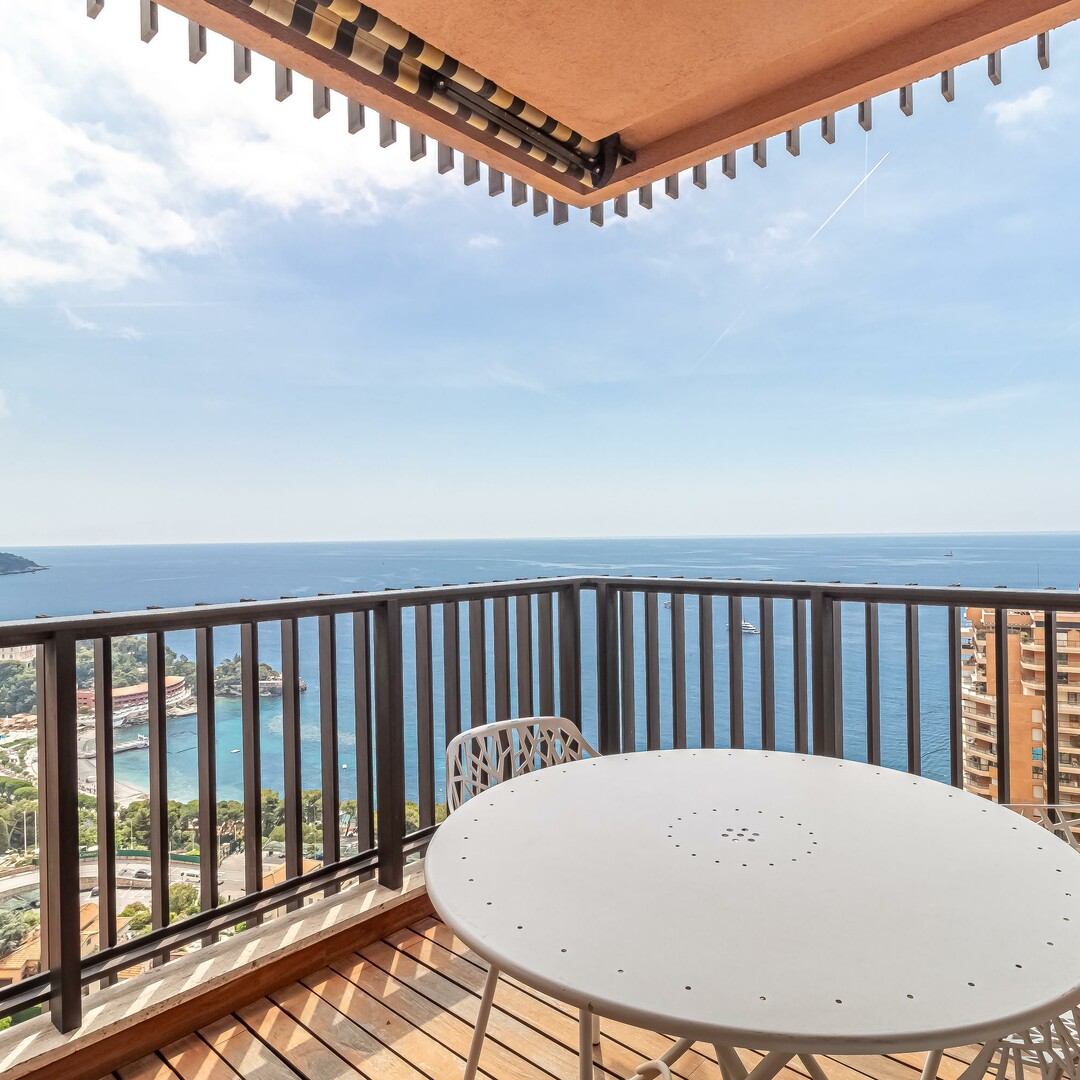 Large apartment in Parc Saint Roman