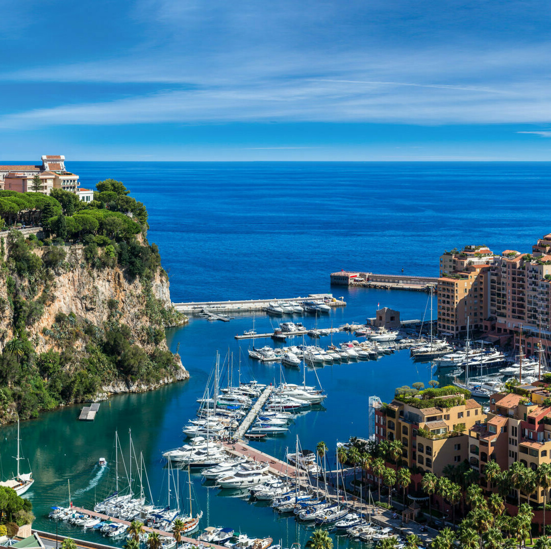 OFFICE / COMMERCIAL PREMISES - BOTTICELLI FONTVIEILLE